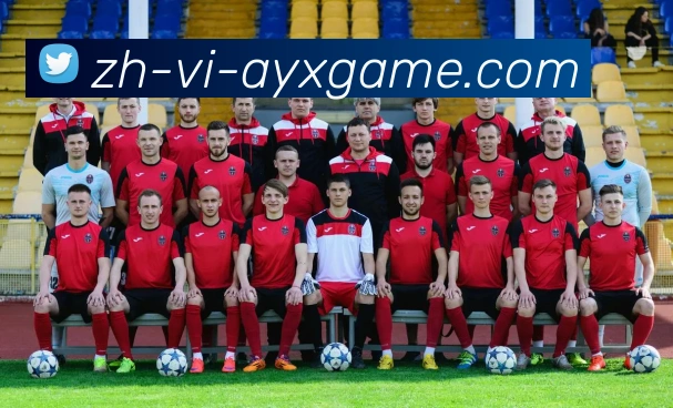 爱游戏APP 封面图